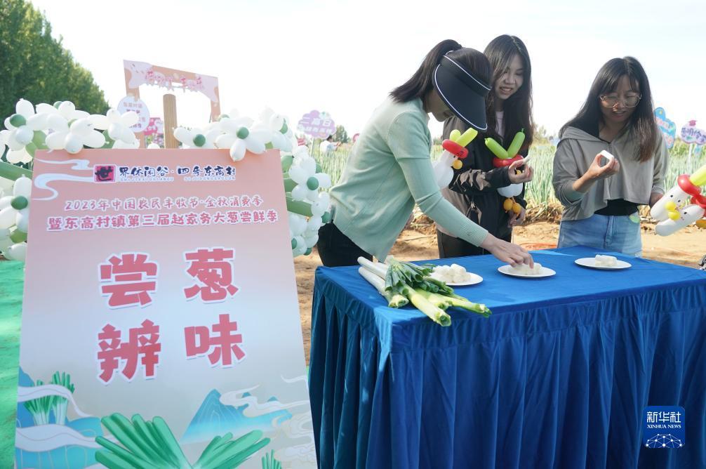 菠菜发布网